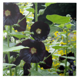 Black Hollyhocks Fliese