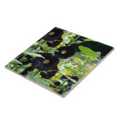 Black Hollyhocks Fliese (Seite)