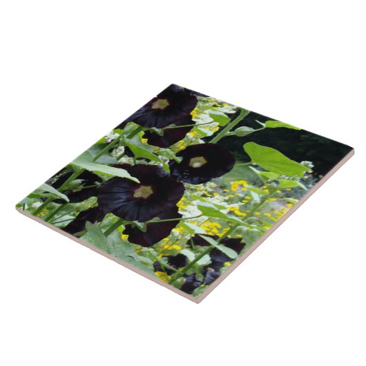 Black Hollyhocks Fliese (Seite)