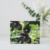 Black Hollyhocks Postkarte (Stehend Vorderseite)