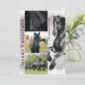 Black Horse 3 FOTO Snowy Frohe Weihnachten (Stehend Vorderseite)