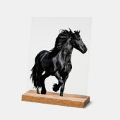 Black horse acrylschild (Winkel)