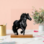 Black horse acrylschild (Hochzeit)