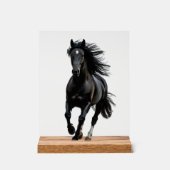 Black horse acrylschild (Vorderseite)