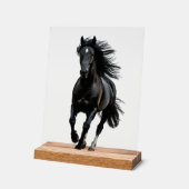 Black horse acrylschild (Winkel)