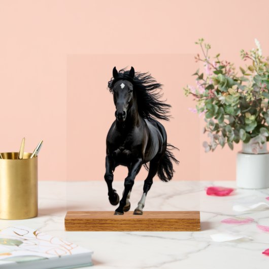 Black horse acrylschild (Hochzeit)