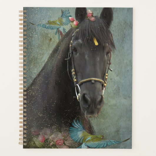 Black Horse Friesian Horse - Kalender, Planer (Vorderseite)