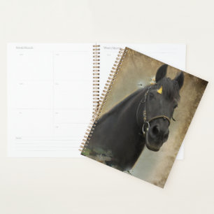 Black Horse Friesian Horse - Kalender, Planer