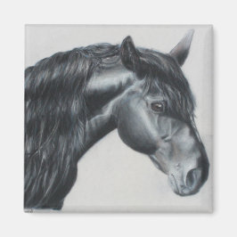Black horse head stallion magnet