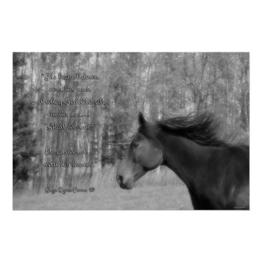 Black Horse & Horse Lover Gedicht w Equine B&W Fot Poster (Vorderseite)