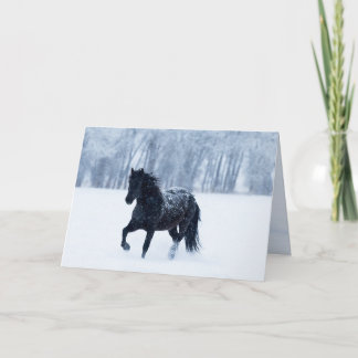 Black Horse in the Snow Greeting Card Einladung