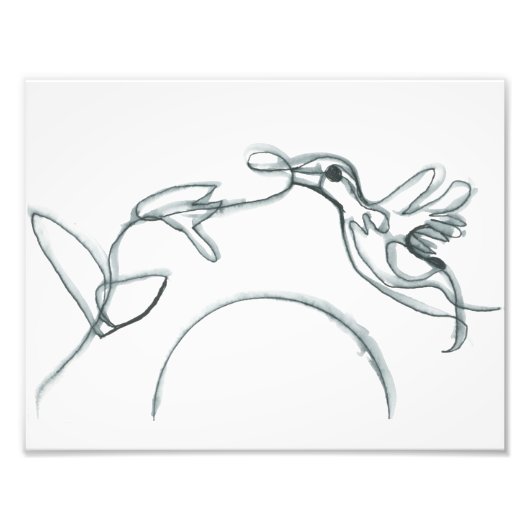 Black Hummingbird Fotodruck (Vorne)