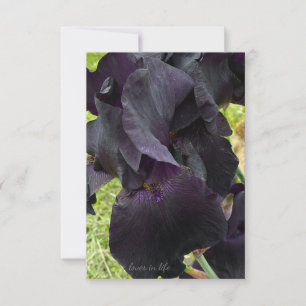 Black Iris Mitteilungskarte