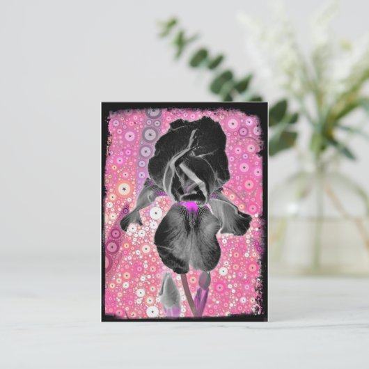 Black Iris Postcard Postkarte (Stehend Vorderseite)