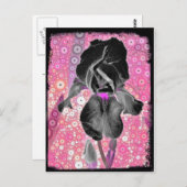 Black Iris Postcard Postkarte (Vorne/Hinten)