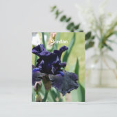 Black Iris Postkarte (Stehend Vorderseite)