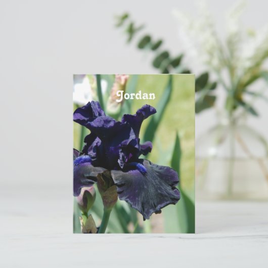Black Iris Postkarte (Stehend Vorderseite)