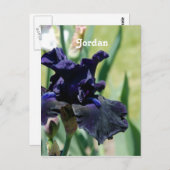 Black Iris Postkarte (Vorne/Hinten)
