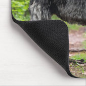 Black Irish Wolfhound Posing in einem Wald Mousepad (Ecke)