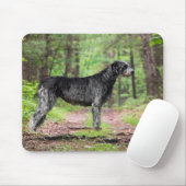 Black Irish Wolfhound Posing in einem Wald Mousepad (Mit Mouse)
