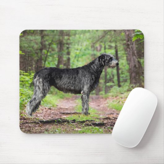 Black Irish Wolfhound Posing in einem Wald Mousepad (Mit Mouse)