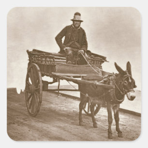 Black Jack, von 'Street Life in London', 1877-78 Quadratischer Aufkleber