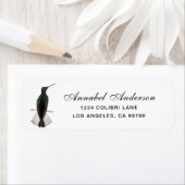 Black Jacobin Hummingbird (Insitu)