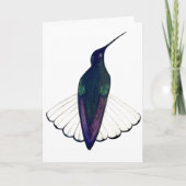 Black Jacobin Hummingbird Karte (Vorderseite)