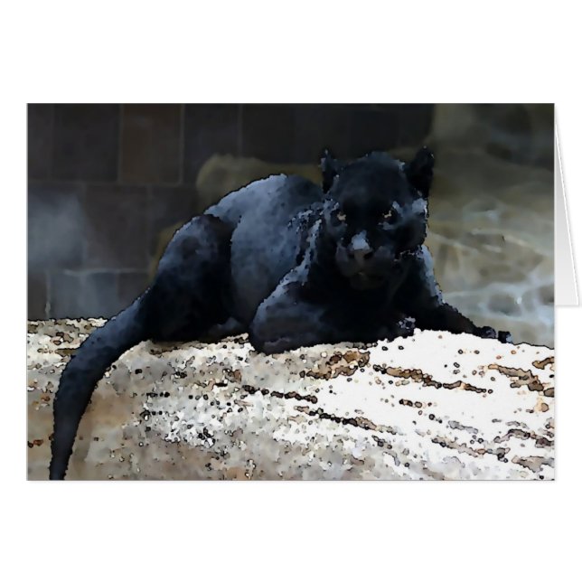Black Jaguar (Vorderseite (Horizontal))