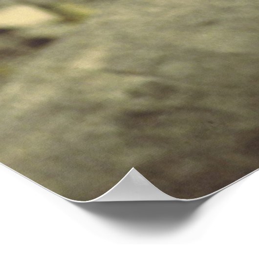 Black_Jaguar Art Poster (Ecke)