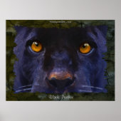 BLACK JAGUAR ~ BLACK PANTHER GRÖSSERE Kunstdrucker Poster (Vorne)