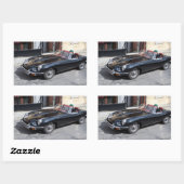 Black Jaguar E Type Rechteckiger Aufkleber (Blatt)