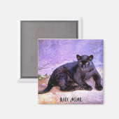 Black Jaguar, Magnet (Vorderseite/Rückseite)
