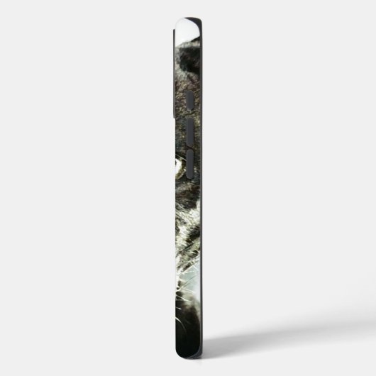 Black Jaguar Panther Case-Mate iPhone Hülle (Rückseite / Links)