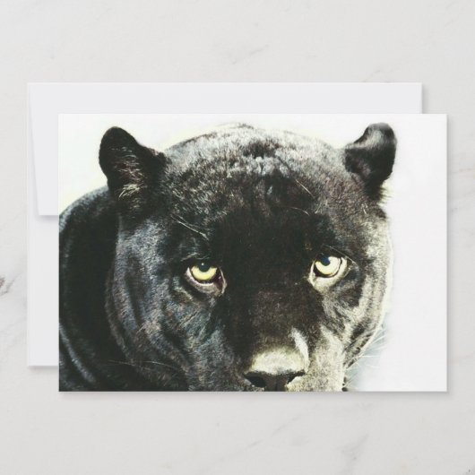 Black Jaguar Panther Eyes Einladung (Vorderseite)