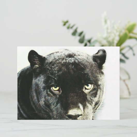 Black Jaguar Panther Eyes Einladung (Stehend Vorderseite)