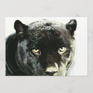 Black Jaguar Panther Eyes Einladung