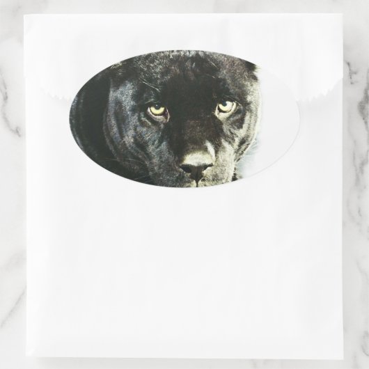 Black Jaguar Panther Eyes Oval Stickers (Tasche)