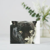 Black Jaguar Panther Eyes Postcard Postkarte (Stehend Vorderseite)