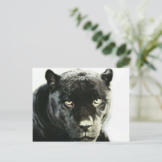 Black Jaguar Panther Postkarte (Stehend Vorderseite)
