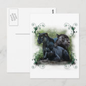 Black Jaguar Postkarte (Vorne/Hinten)