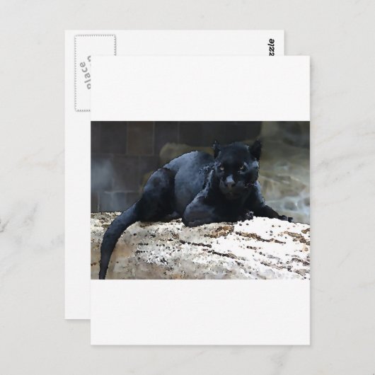 Black Jaguar Postkarte (Vorne/Hinten)