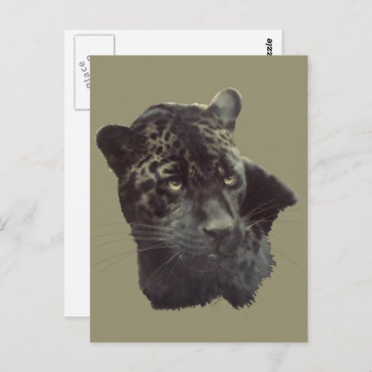 Black Jaguar Postkarte (Vorne/Hinten)