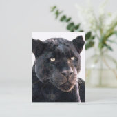 Black Jaguar Postkarte (Stehend Vorderseite)