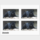 Black Jaguar Rectangle Stickers (Blatt)
