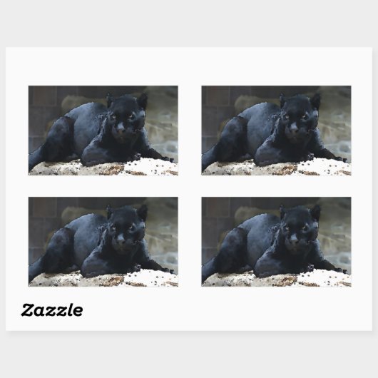Black Jaguar Rectangle Stickers (Blatt)