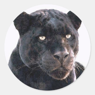 Black Jaguar Runder Aufkleber