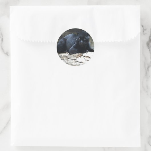 Black Jaguar Runder Aufkleber (Tasche)