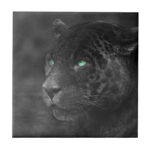 Black Jaguars Emerald Gaze Fliese