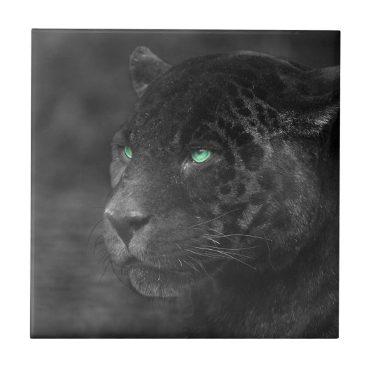 Black Jaguars Emerald Gaze Fliese (Vorderseite)